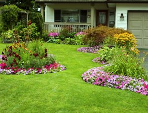 A beautifully manicured front yard landscaping